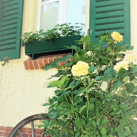 Strandvilla Hubertus - Mit Parkplatz Wlan Kueche Garten Grillplatz Waldbaden Больтенхаген