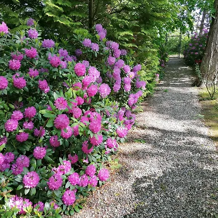 Strandvilla Hubertus - Mit Parkplatz Wlan Kueche Garten Grillplatz Waldbaden Apartment Boltenhagen (Ostseebad)
