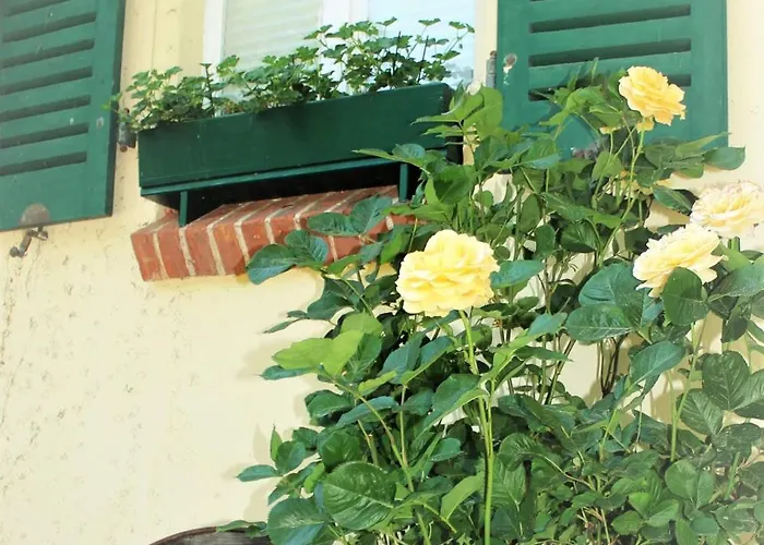 Strandvilla Hubertus - Mit Parkplatz Wlan Kueche Garten Grillplatz Waldbaden بولتينهاجين